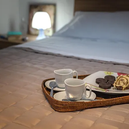 Scenario Holiday's *