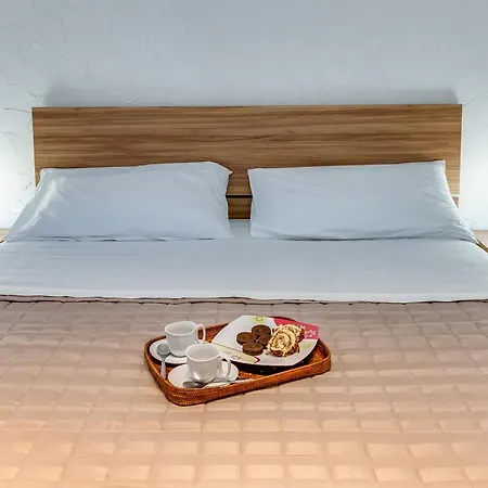 Scenario Holiday's *