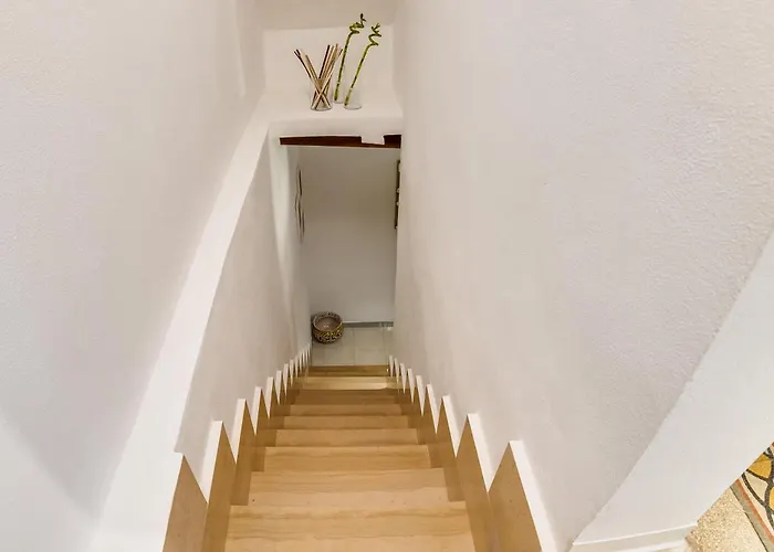 Vakantiehuis Scenario Holiday's